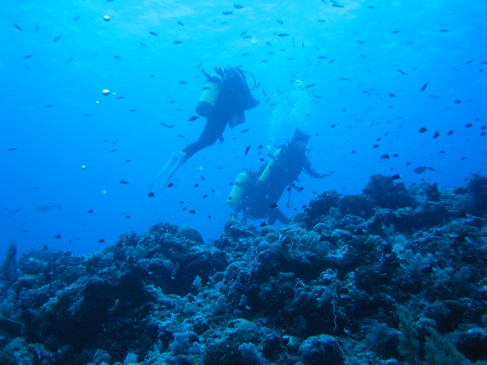 IMG_1982.JPG - "Blue Corner", Palau