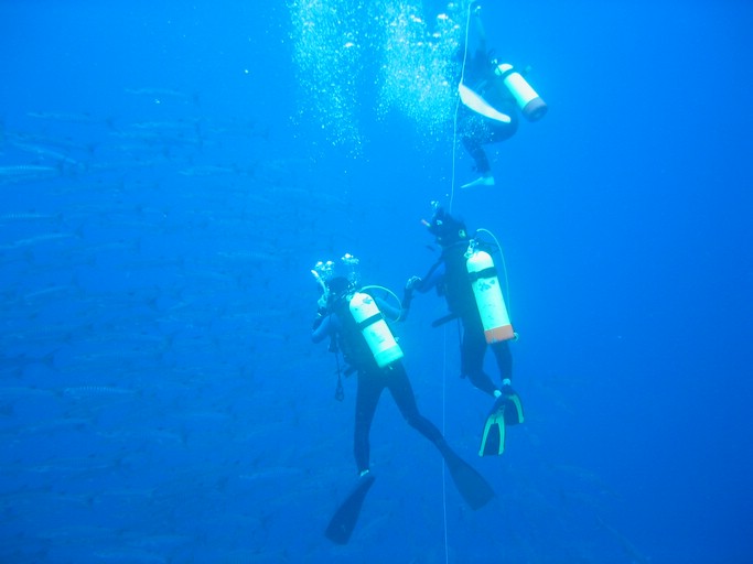 IMG_2009.JPG - "Blue Corner", Palau