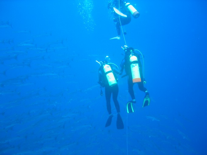 IMG_2010.JPG - "Blue Corner", Palau