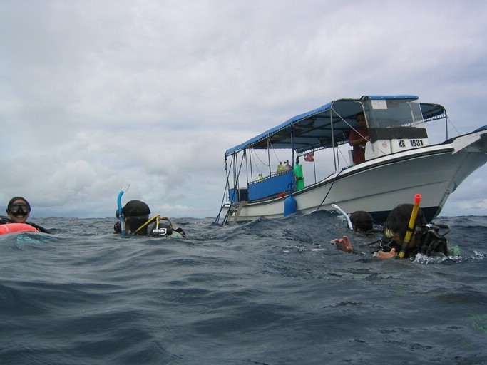 IMG_2016.JPG - "Blue Corner", Palau