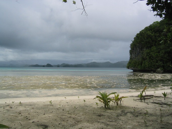 IMG_2017.JPG - "Two Dog Island" (backside), Palau