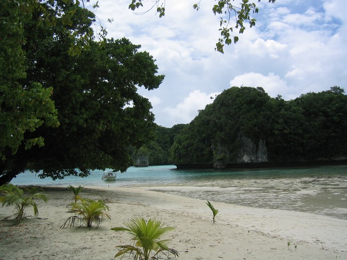 IMG_2018.JPG - "Two Dog Island" (backside), Palau