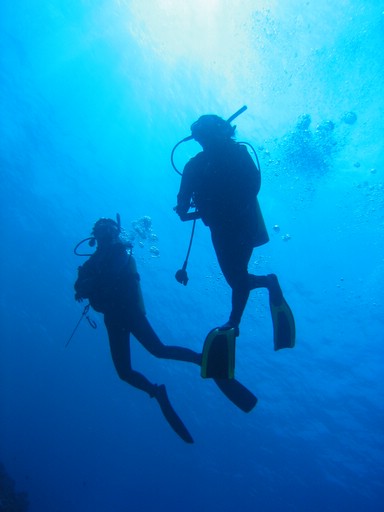 IMG_2027.JPG - "Ngemelis Coral Garden", Palau