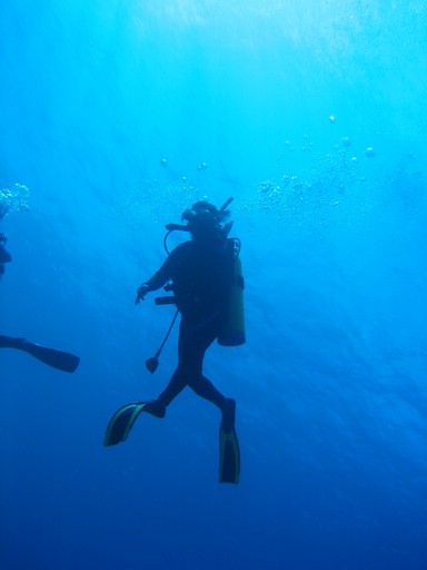 IMG_2028.JPG - "Ngemelis Coral Garden", Palau