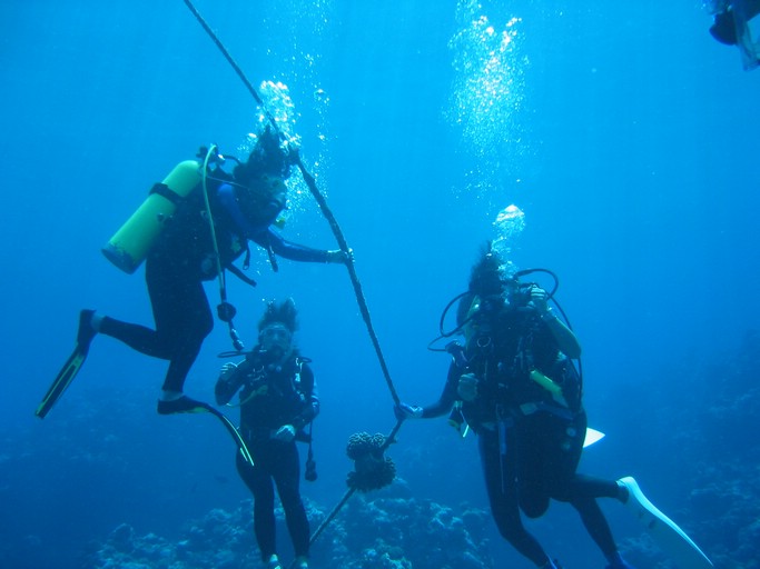 IMG_2042.JPG - "Ngemelis Coral Garden", Palau