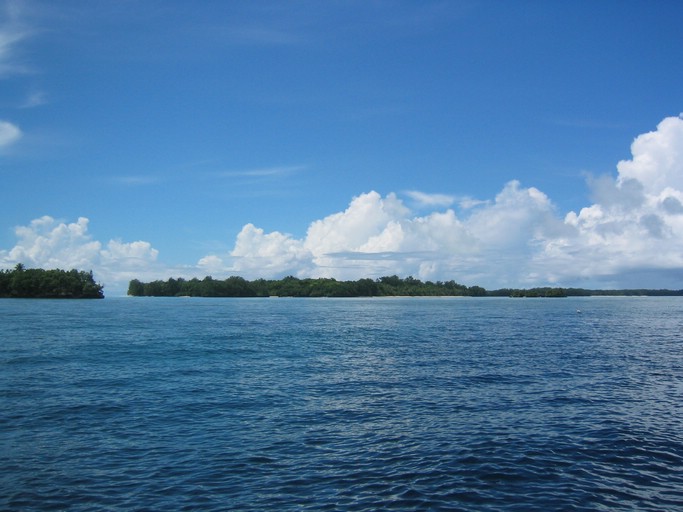 IMG_2046.JPG - "Blue Holes & Blue Corner", Palau
