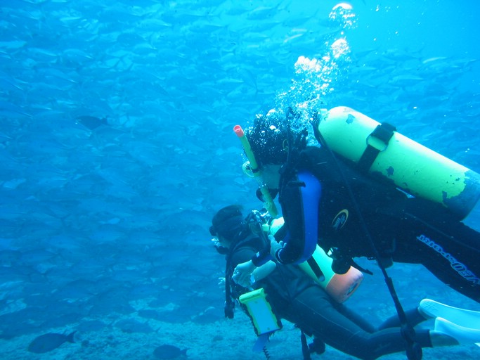 IMG_2055.JPG - "Blue Holes & Blue Corner", Palau
