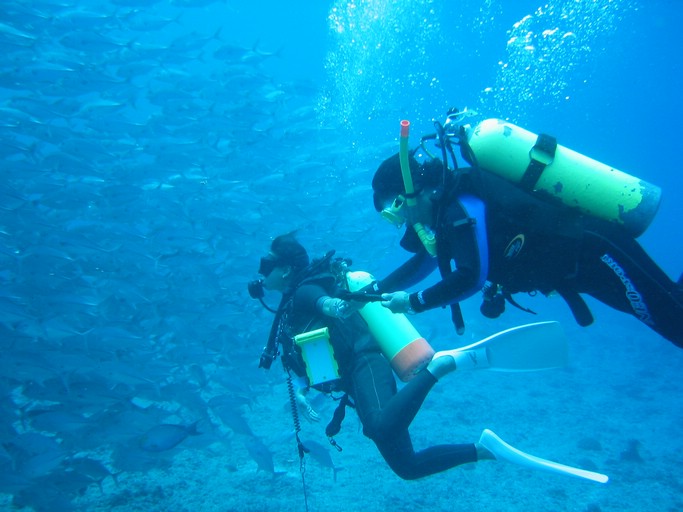 IMG_2056.JPG - "Blue Holes & Blue Corner", Palau