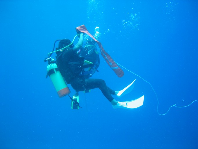 IMG_2057.JPG - "Blue Holes & Blue Corner", Palau