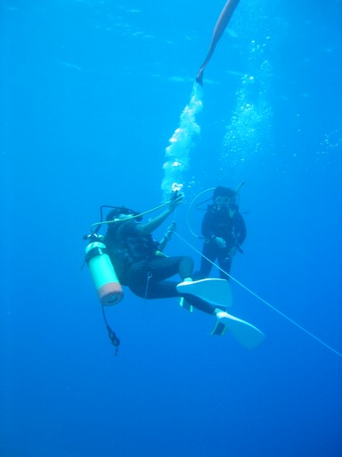 IMG_2058.JPG - "Blue Holes & Blue Corner", Palau