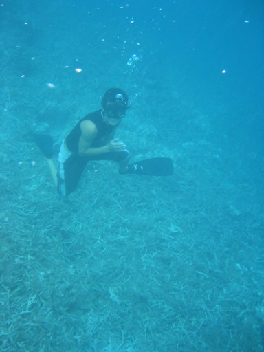 IMG_2083.JPG - "Clam City", Palau