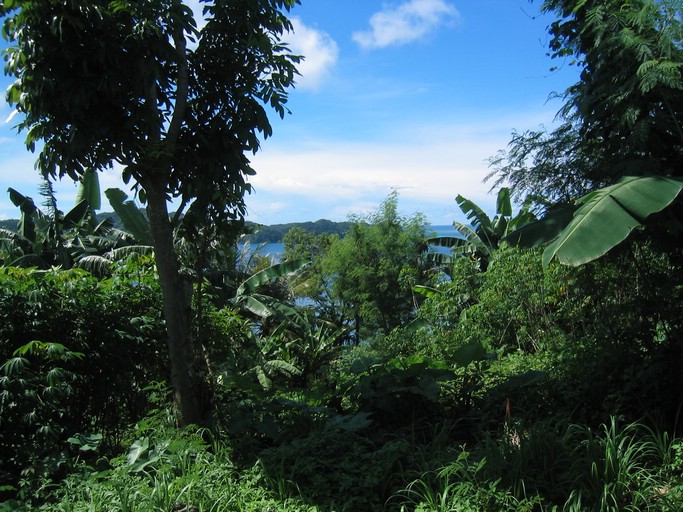 IMG_2106.JPG - Malakal, Palau