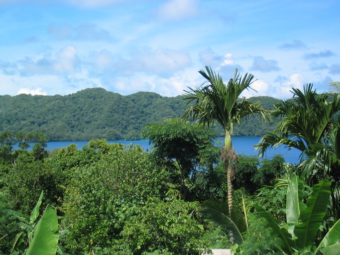 IMG_2109.JPG - Malakal, Palau