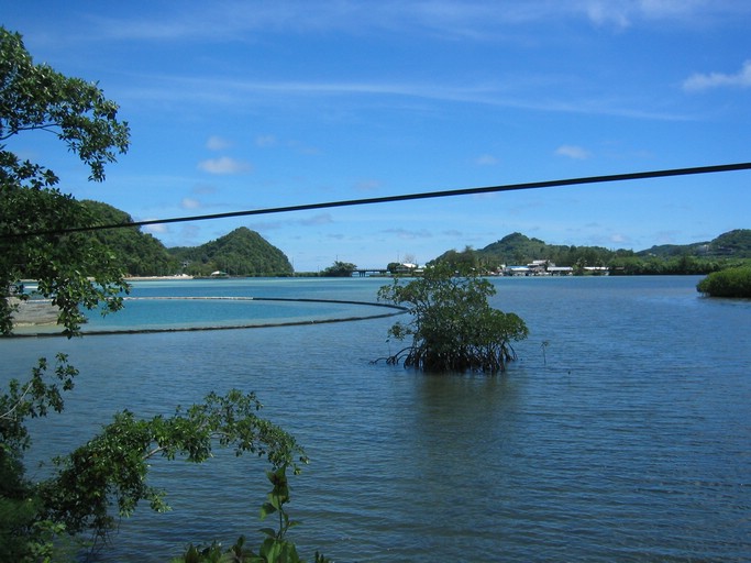 IMG_2122.JPG - Ngerbeched, Palau