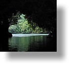 IMG_1631 - Kayaking with Jake from Sam's