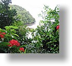 IMG_1651 - Kayaking with Jake from Sam's