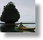 IMG_1660 - Kayaking with Jake from Sam's