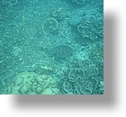 IMG_1662 - Kayaking with Jake from Sam's