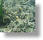 IMG_1667 - Kayaking with Jake from Sam's