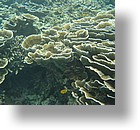 IMG_1669 - Kayaking with Jake from Sam's