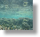 IMG_1673 - Kayaking with Jake from Sam's