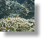 IMG_1674 - Kayaking with Jake from Sam's