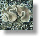 IMG_1676 - Kayaking with Jake from Sam's