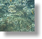 IMG_1678 - Kayaking with Jake from Sam's