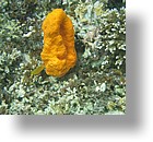 IMG_1682 - Kayaking with Jake from Sam's