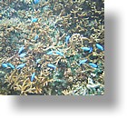 IMG_1702 - Kayaking with Jake from Sam's