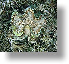 IMG_1704 - Kayaking with Jake from Sam's