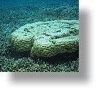 IMG_1705 - Kayaking with Jake from Sam's