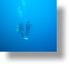 IMG_1708 - "Big Drop-off", Palau