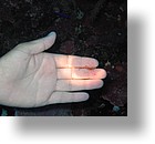 IMG_1716 - "Big Drop-off", Palau