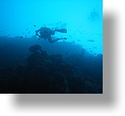 IMG_1719 - "Big Drop-off", Palau