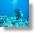 IMG_1722 - "Blue Corner", Palau