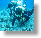 IMG_1723 - "Blue Corner", Palau