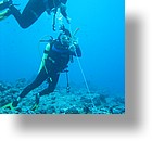 IMG_1730 - "Blue Corner", Palau