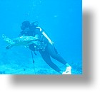 IMG_1758 - "Blue Corner", Palau