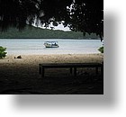 IMG_1777 - "Two Dog Island", Palau