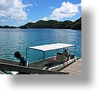 IMG_1793 - Jellyfish Lake, Palau