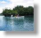 IMG_1823 - Kayaking with Jefferson from Fish 'n Fins