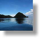 IMG_1824 - Kayaking with Jefferson from Fish 'n Fins