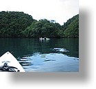 IMG_1826 - Kayaking with Jefferson from Fish 'n Fins