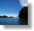 IMG_1833 - Kayaking with Jefferson from Fish 'n Fins