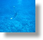 IMG_1835 - "Ulong Drop", Palau