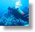 IMG_1838 - "Ulong Drop", Palau