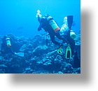 IMG_1843 - "Ulong Drop", Palau