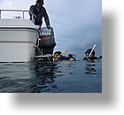 IMG_1850 - "Ulong Drop", Palau