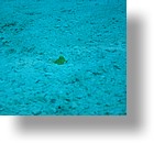 IMG_1854 - "Saint Cardinal" (near Koror), Palau